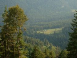2013-07-20_Regina-F-Rau_Kochel-Rabenkopf (451)b.JPG